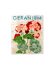 Market Wall Art Geranium