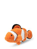 Clownfish