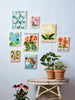 Market Wall Art Pansy