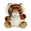 Indy Tiger