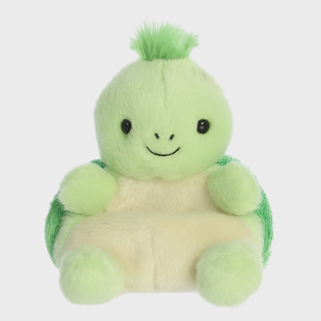 Tiny Turtle
