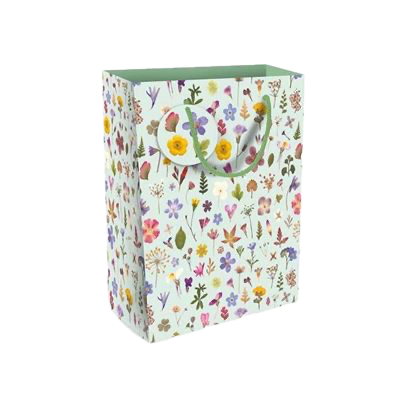 Mint Meadow Large Gift Bag
