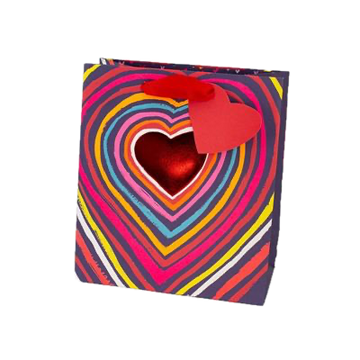 Big Love Large Gift Bag