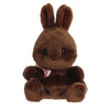 Chocolate Bunny