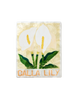 Market Wall Art Lily