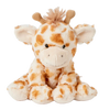 Honey The Giraffe