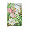 Bindweed Fairy Mini H 12 Flexi 2027
