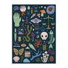 Occult and Curious Glow in the Dark Puzzle - 1000pcs