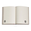 Slytherin Midi Lined Hardcover