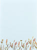Blooms & Butterflies Boxed Stationery