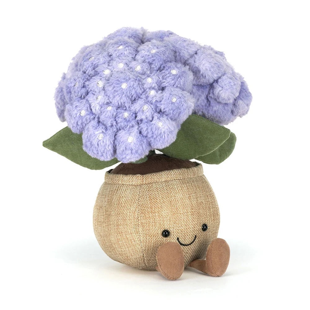 Amusebales Hydrangea