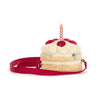 Birthday Cake Bag