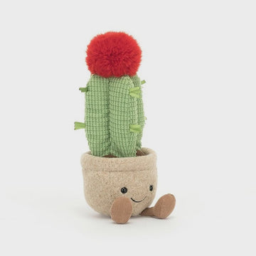 Amuseable Moon Cactus 21cm