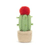 Amuseable Moon Cactus 21cm