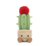 Amuseable Moon Cactus 21cm