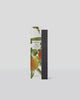 5 Replacement Scent Stems - MANGO & PAPAYA