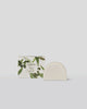 Scent Stems Holder