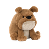 Derreck Grumpy Dog