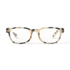 Reading Glasses Collection B
