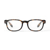 Reading Glasses Collection B