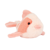 Fancy Carp