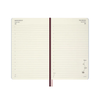 Moleskine - 2027 - 12 Month Daily Hard Cover Diary - Large - Alice in Wonderland