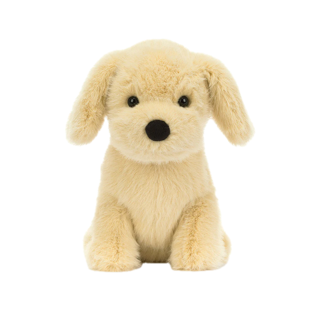 Golden Puppy
