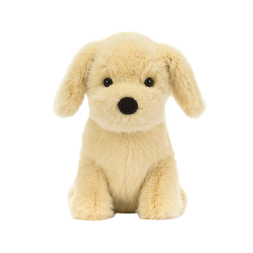 Golden Puppy