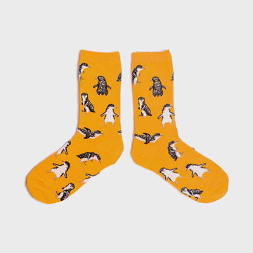 Fairy Penguin Socks