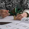 Paper Plants