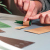 Paper Plants