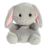 Grey Lop Eared Bunny