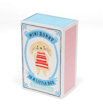 Mini Bunny in a Little Box