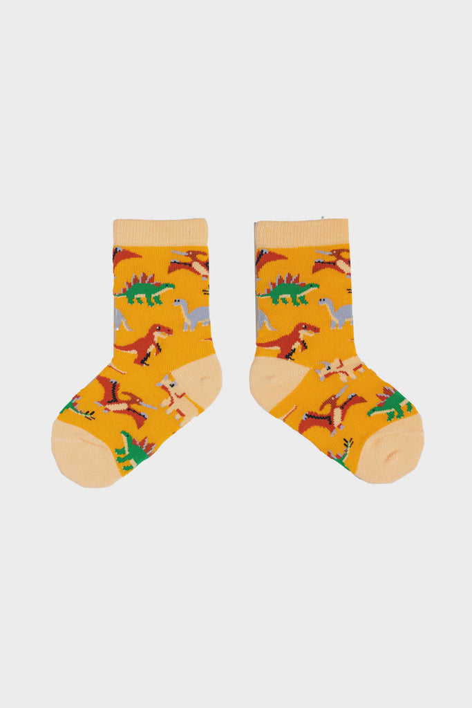 Dinosaur Socks Ages 2 - 4