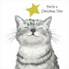 Christmas Card Wallet-RSPCA-Christmas Star