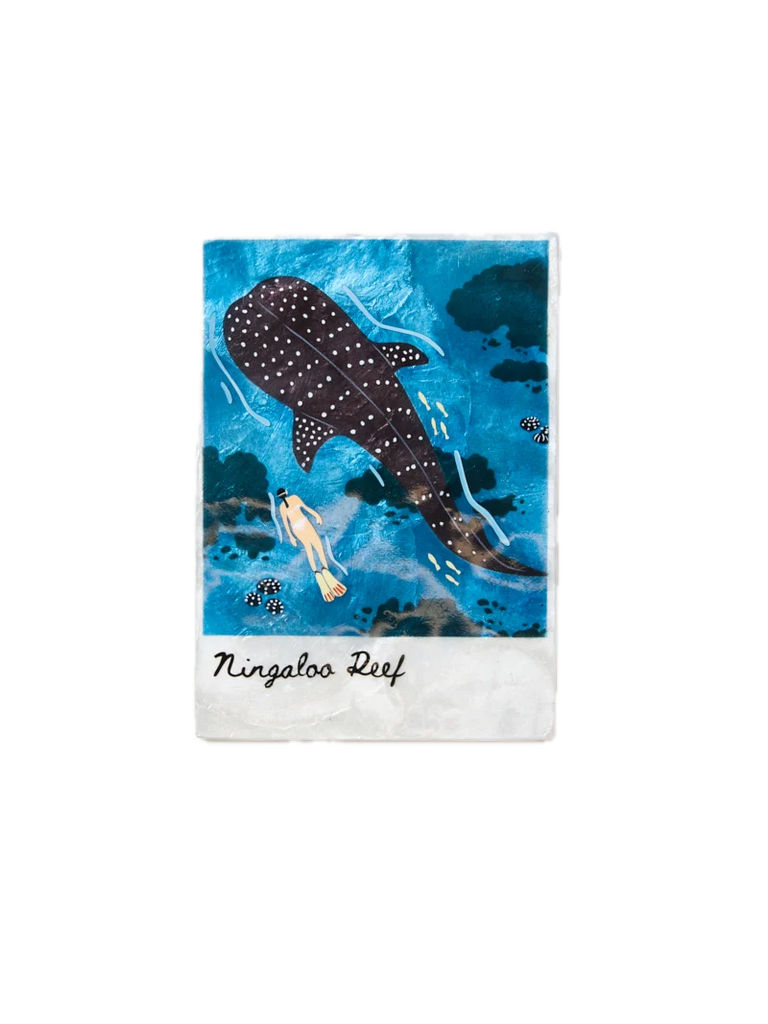 Snapshot Tile Ningaloo