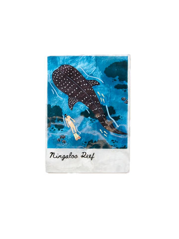 Snapshot Tile Ningaloo
