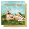 Card - My Face Is Up Here