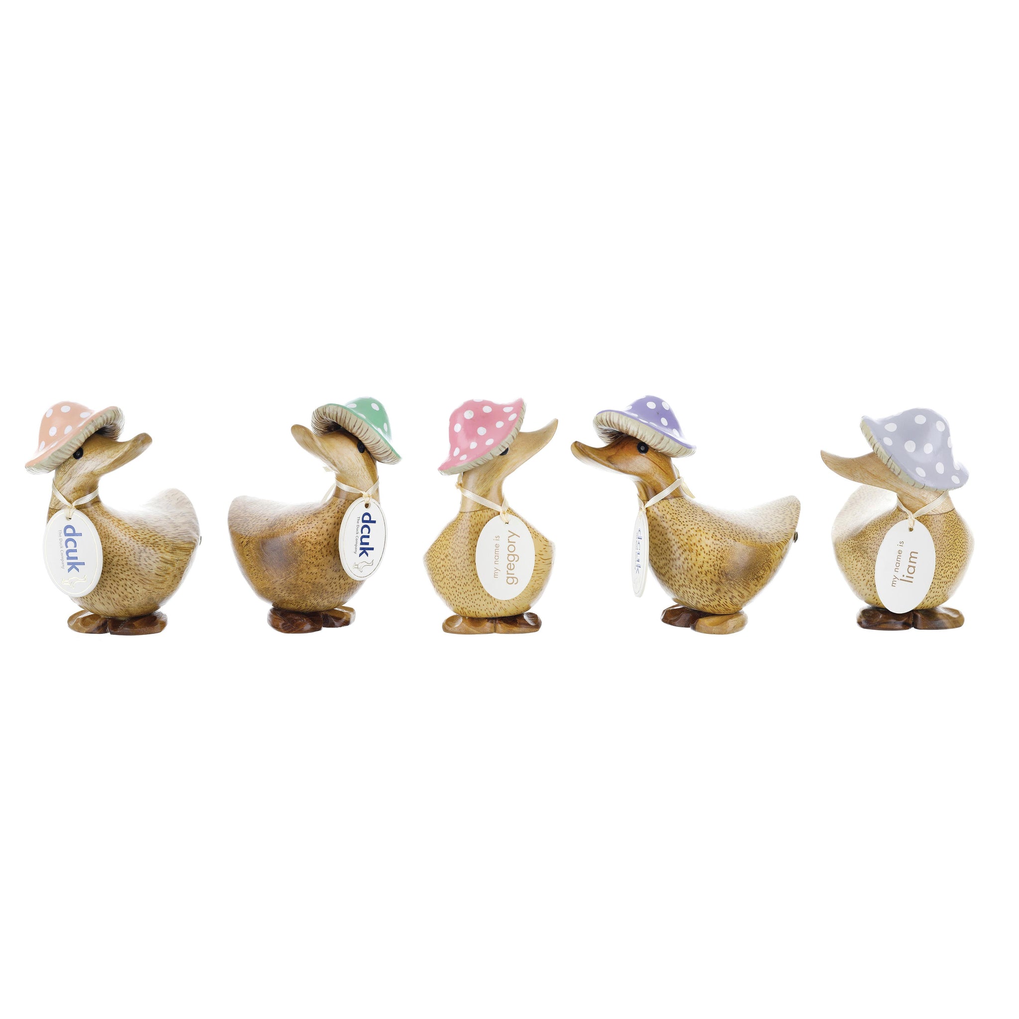 Toadstool Folk Duckys 5pcs Assorted
