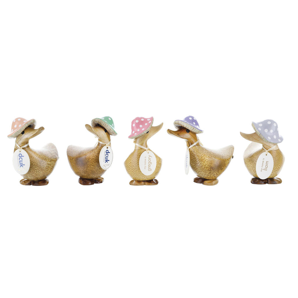 Toadstool Folk Duckys 5pcs Assorted
