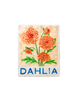 Market Wall Art Dahlia