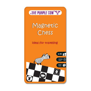 Magnetic Chess