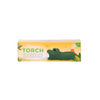 Discovery Zone Torch - Dino Green