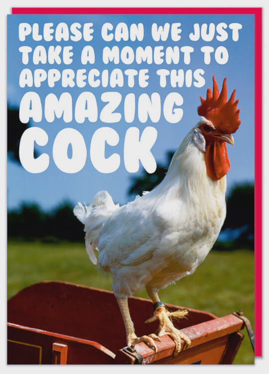 Appreciate This Amazing Cock Greeting Card