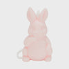 Soap On A Rope - Bunny