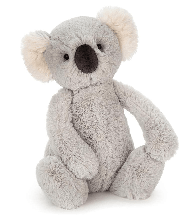 Bashful Koala Small - Handworks Nouveau Paperie
