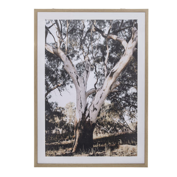 Gum Tree Wall Framed - Handworks Nouveau Paperie