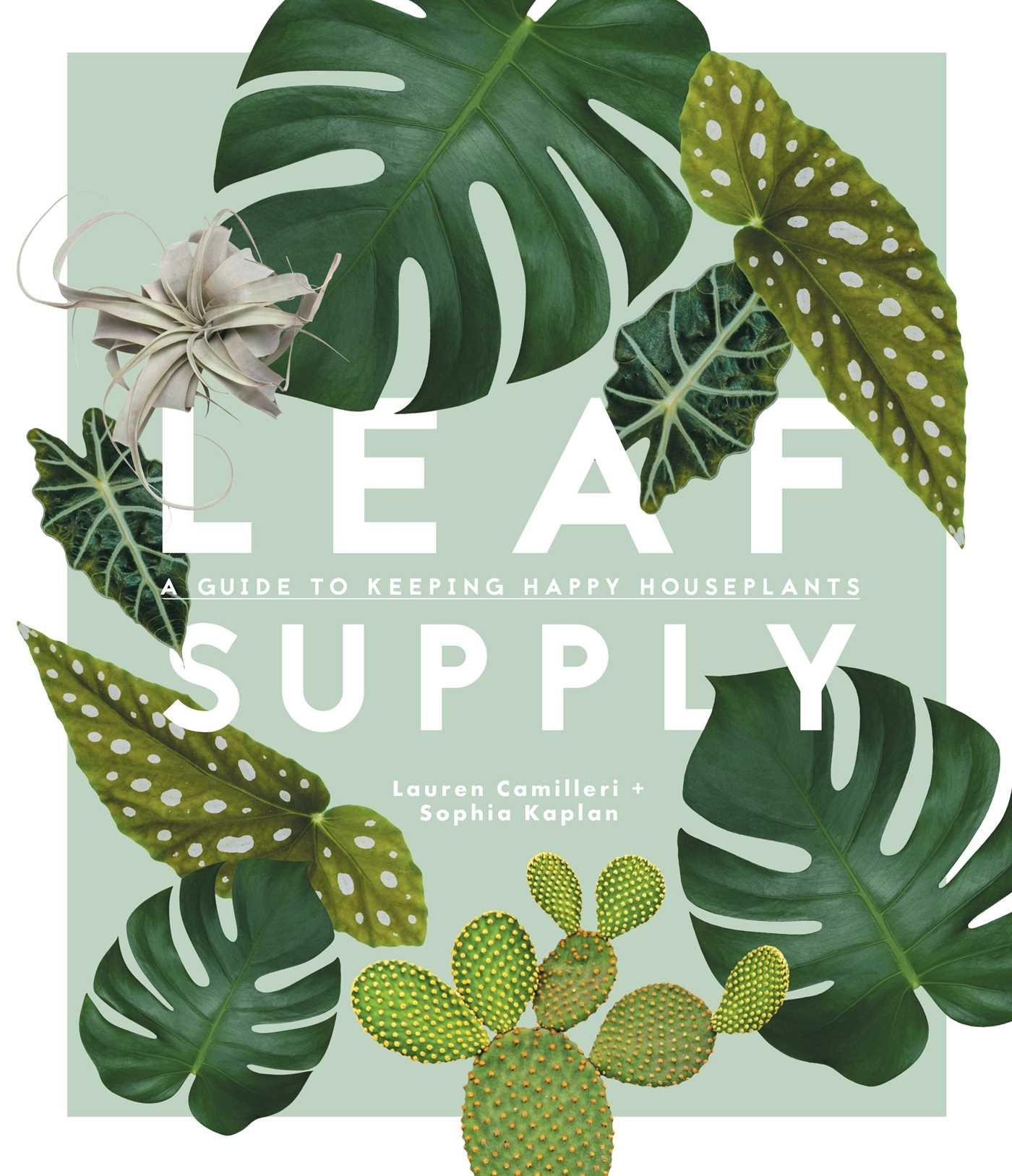 LEAF SUPPLY - Handworks Nouveau Paperie