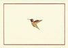 NOTE CARD- HUMMINGBIRD FLIGHT - Handworks Nouveau Paperie