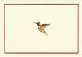 NOTE CARD- HUMMINGBIRD FLIGHT - Handworks Nouveau Paperie